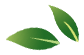 leaf left
